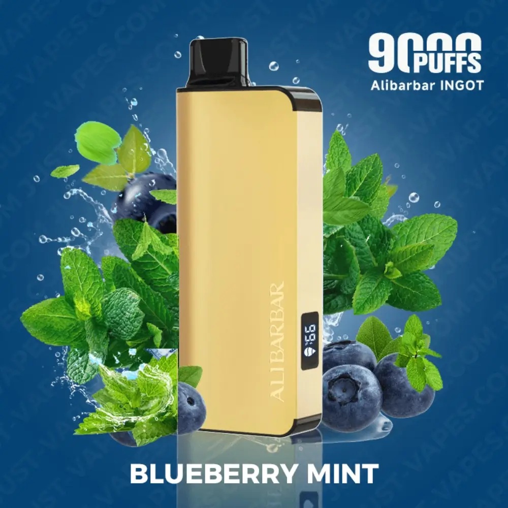 Blueberry Mint Alibarbar INGOT 9000 Puffs